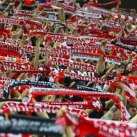 Suporteri Dinamo, imagine cu caracter ilustrativ - Foto: Profimedia