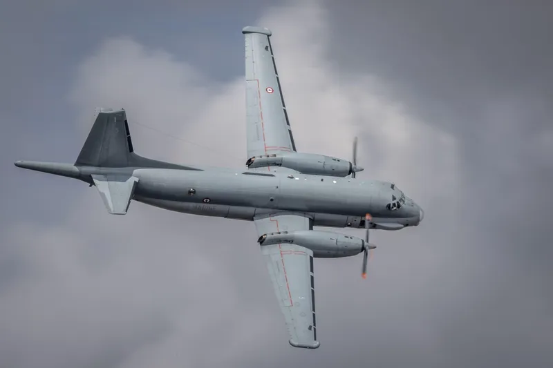 - Foto: Profimedia Images (Imagine cu rol ilustrativ)