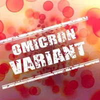 Avertisment OMS: interdicțiile de călătorie nu vor opri noua tulpină Omicron a Covid-19/FOTO: Pixabay