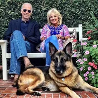Joe Biden va readuce câinii la Casa Albă Foto: vogue.com