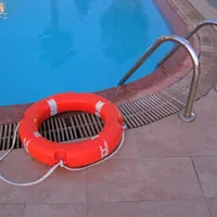 Piocianic, o bacterie extrem de periculoasă, descoperită în două piscine din Murighiol. / Foto: publicdomainpictures.net