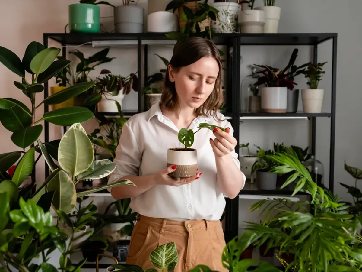 Femeie cu plante de interior - Foto: Magnific (Imagine cu rol ilustrativ)