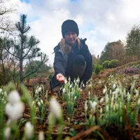 Ghiocei - Foto: Profimedia Images (rol ilustrativ)