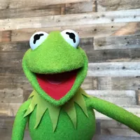 Premierul britanic l-a dat exemplu pe Kermit. FOTO: Facebook