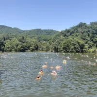 Ce lac din România deține 3 recorduri mondiale - Foto: zigzagpeharta.ro