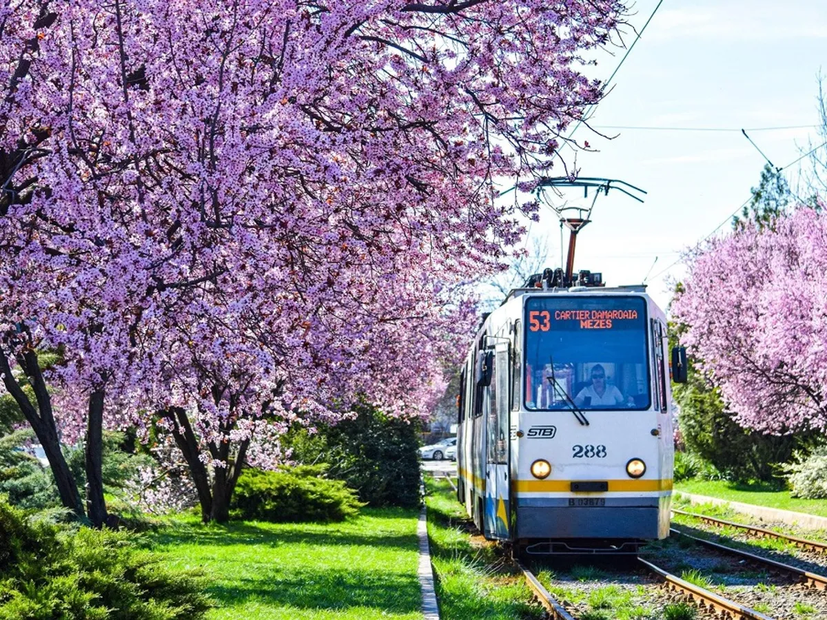 Nouă lovitură pentru bucureștenii care merg cu transportul în comun. Cât va fi prețul biletului STB?