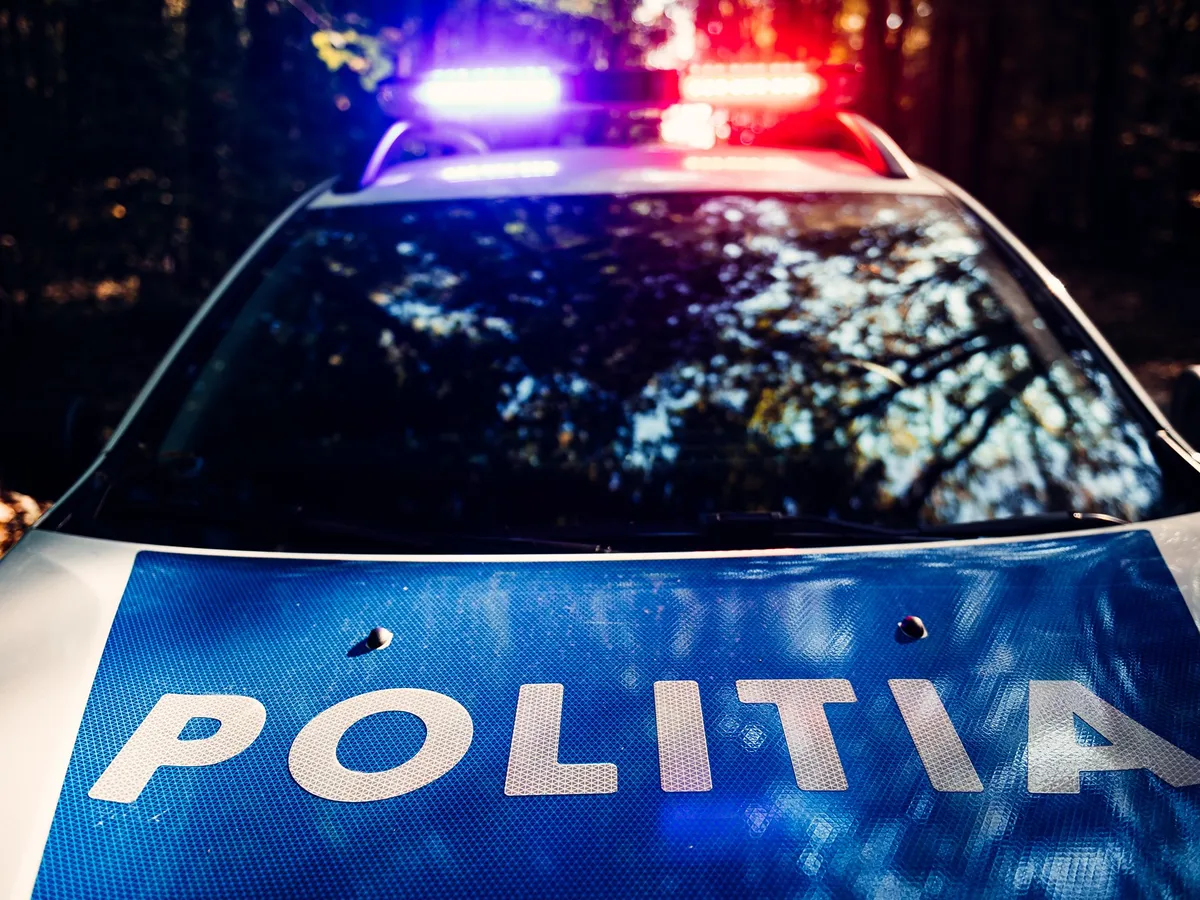 Percheziții în Ilfov, Bralov și Dâmbovița. FOTO: Facebook