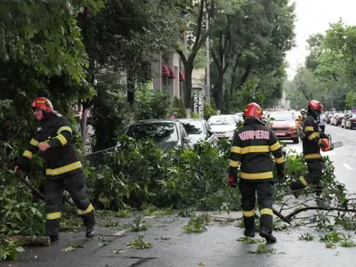 Pompierii au intervenit în București pentru îndepărtarea celor peste 100 de copaci doborâți de furtună - Foto: INQUAM Photos/Norbert Nemeș (rol ilustrativ)