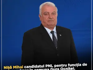 Mihai Niță, cel care controla, până nu de mult, uzina de armament de la Moreni Foto: Facebook