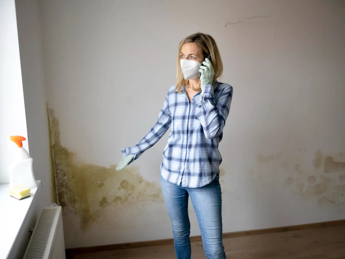 Locuiești la parter și ai mucegai în casă? Scapă de el și mergi la medic cât mai repede