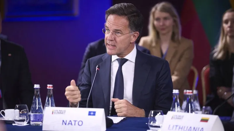 Mark Rutte, la Reuniunea de la Vilnius - Foto: Profimedia Images