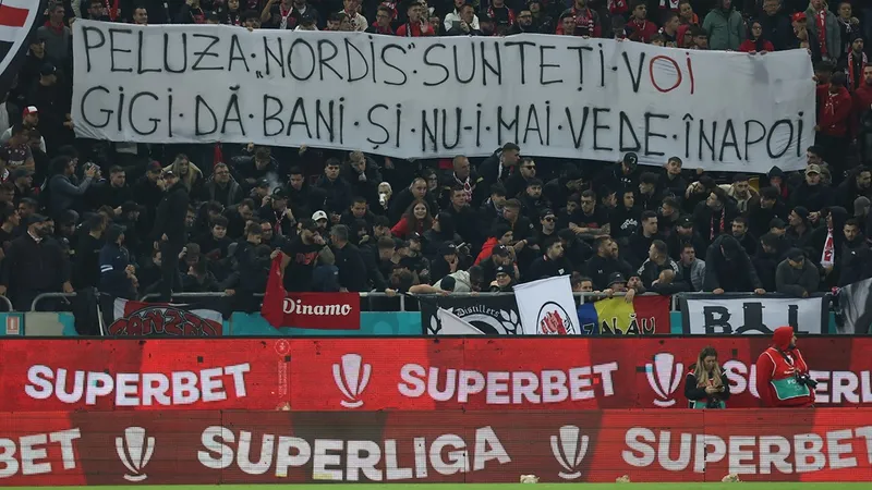 610 bodyguarzi au păzit ilegal derby-ul FCSB - Dinamo pe Arena Națională Foto: INQUAM Photos/Bogdan Buda