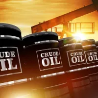 Două țări importante din UE, gata să cumpere petrol rusesc în ciuda sancțiunilor europene - FOTO: Profimedia