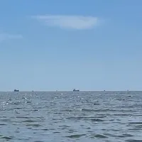 Vapoare ucrainene în largul Sulinei / Din Sulina se auzeau exploziile din Insula Șerpilor/ NEWSWEEK