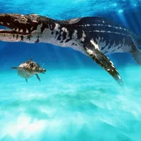 Fosila preistorică a unei reptile care a trăit acum 202.000.000 de ani, găsită de o fetiță de 11 ani - Foto: Profimedia images