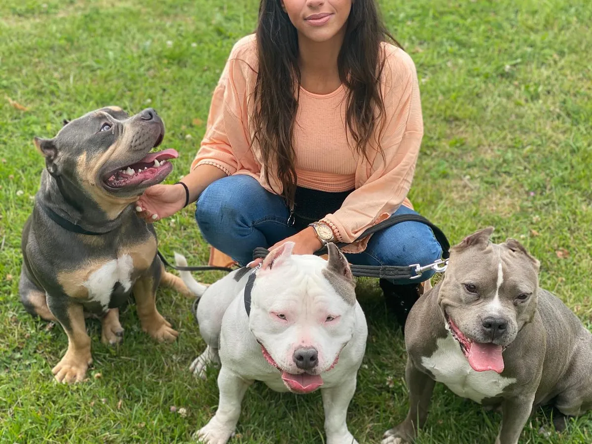 ania Gomez apărea ca președinte al unei organizații care are grijă de animalele fără stăpân Foto:Facebook/ HundGarin