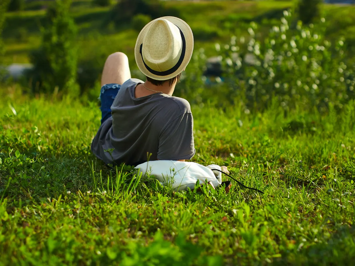 Planta otrăvitoare pe care nu trebui să o tai niciodată din grădină. Este insecticid natural pentru furnici