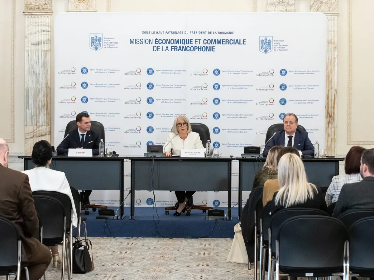 Ședință ARICE - Foto: gov.ro
