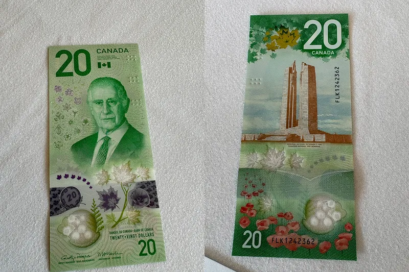 20 dolari