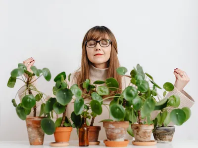 Femeie cu plante - Foto: Pexels (Imagine cu rol ilustrativ)