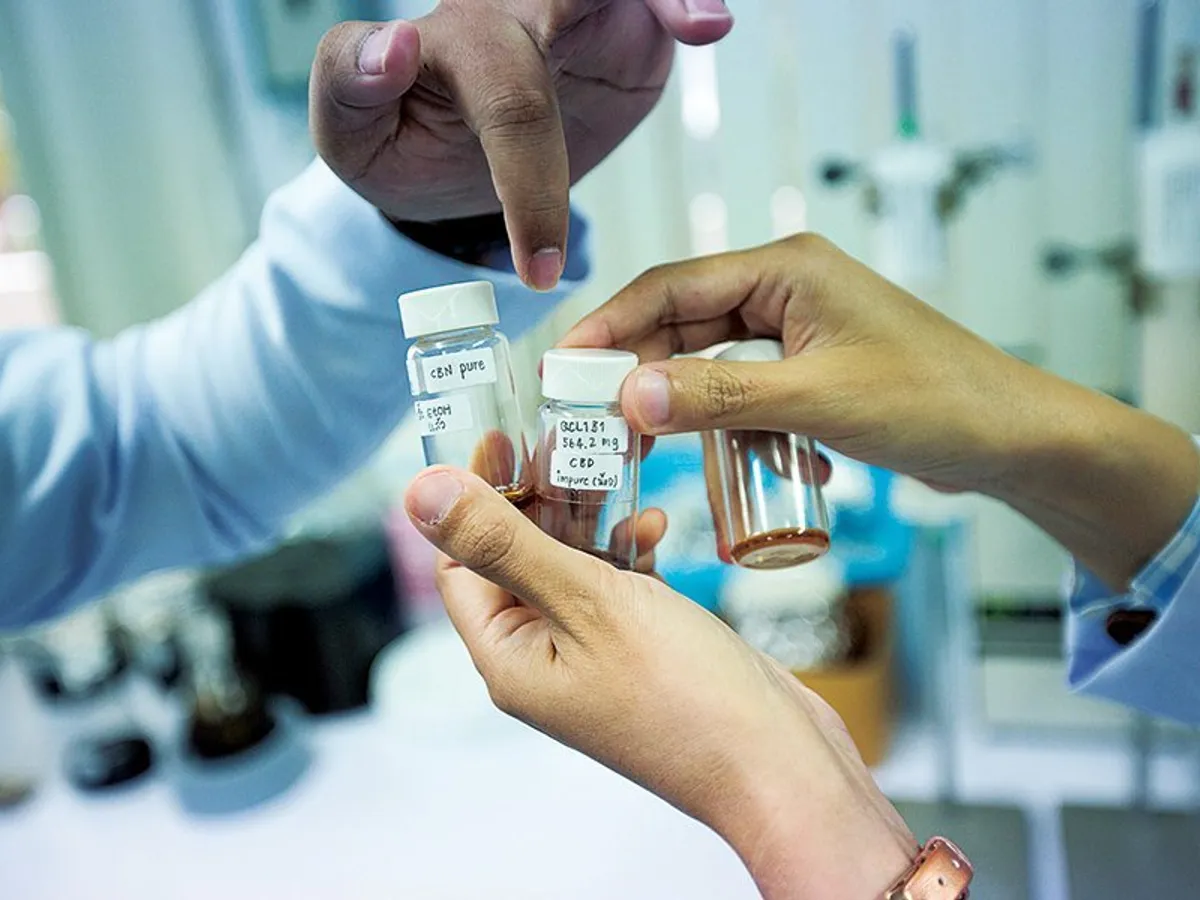 Extractele de canabinoide au fost aprobate în Thailanda
