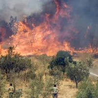 Grecia mistuită de incendiile de vegetație. Care este insula cu cele mai grave probleme? - Foto: Arhiva / imagine cu rol ilustrativ