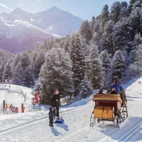 Crăciun în Bucovina. Turiștii, plimbați cu sania trasă de cai și delectați cu bucate tradiționale - Foto: Profimedia images - Caracter ilustrativ