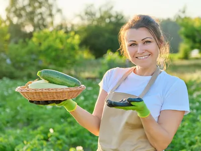 Femeie zâmbitoare cu coș de dovlecei proaspeți culeși la fermă - Foto: Magnific.com (Imagine cu rol ilustrativ)