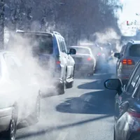 Noxe, imagine cu caracter ilustrativ - Foto: Ziarul de Iași