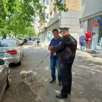 Foto: Politia locală Sector 6