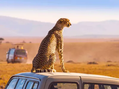 Foto: South Africa Tourism