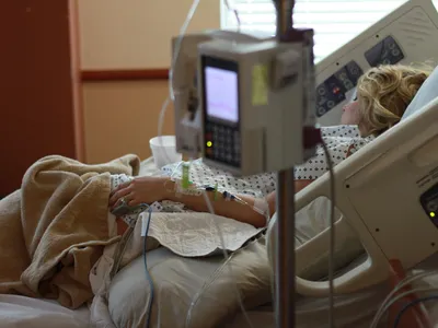 Au crezut că mănâncă leurdă dar au ajuns la spital. Au cules plante otrăvitoare și le-au gătit - Foto: Pixabay.com (rol ilustrativ)
