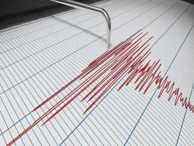 Grafic seismograf - Foto: arhivă (Imagine cu rol ilustrativ)