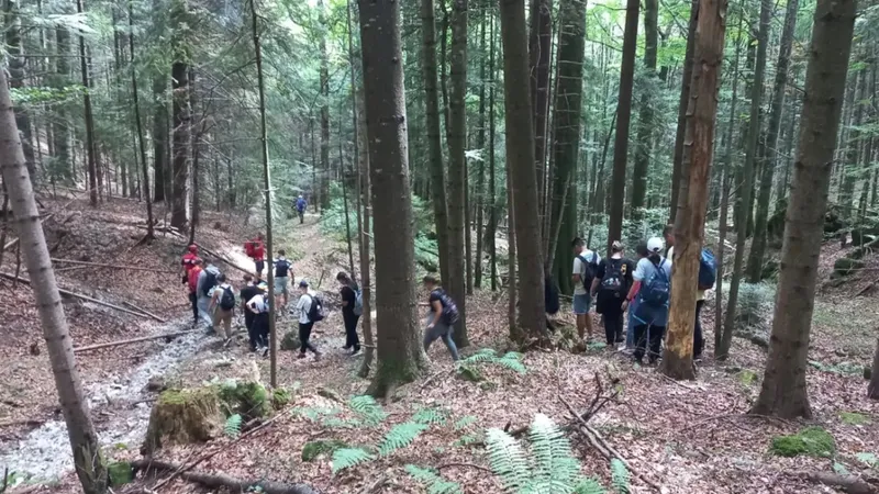 18 copii s-au rătăcit pe Muntele Ceahlău. Ei au fost găsiți de salvamontiști într-o zonă periculoasă Foto: facebook/ Salvamont Neamț