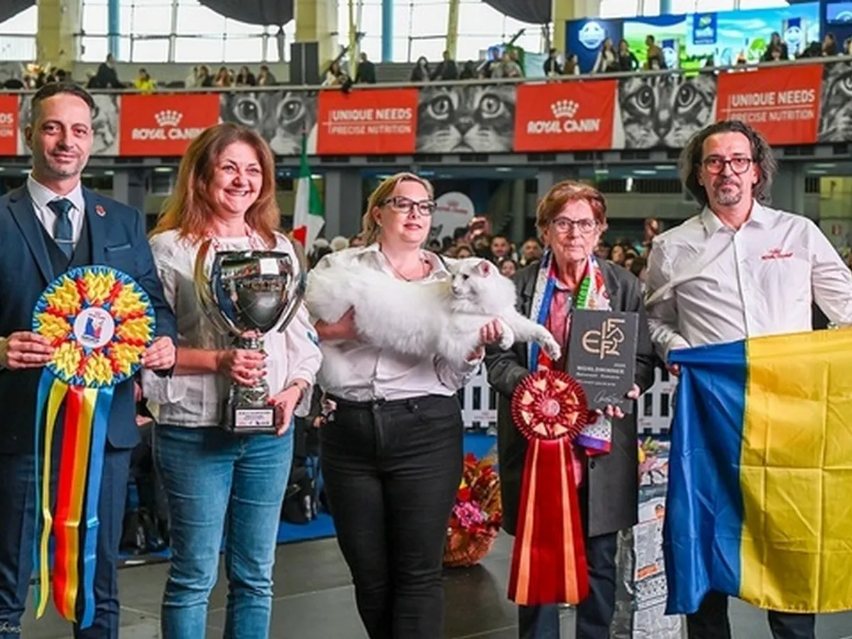 Nordri, un motan Wild Forest’s din România, a câștigat Campionatul Mondial Felin 2025 - Foto: news.ro