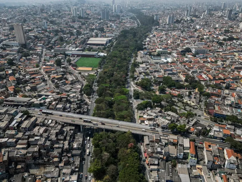 A plantat singur peste 41.000 de copaci - Foto: Profimedia Images