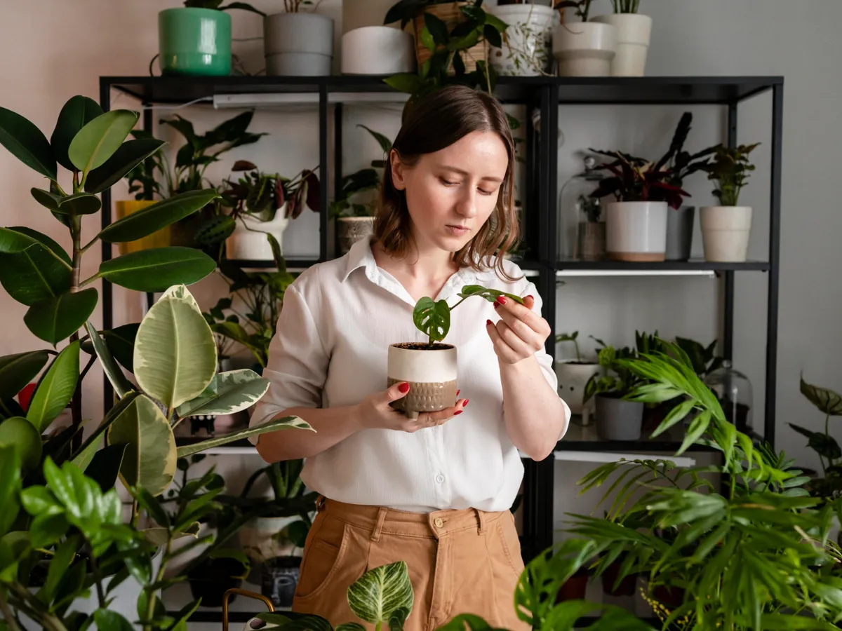 Femeie cu plante de interior - Foto: Magnific (Imagine cu rol ilustrativ)