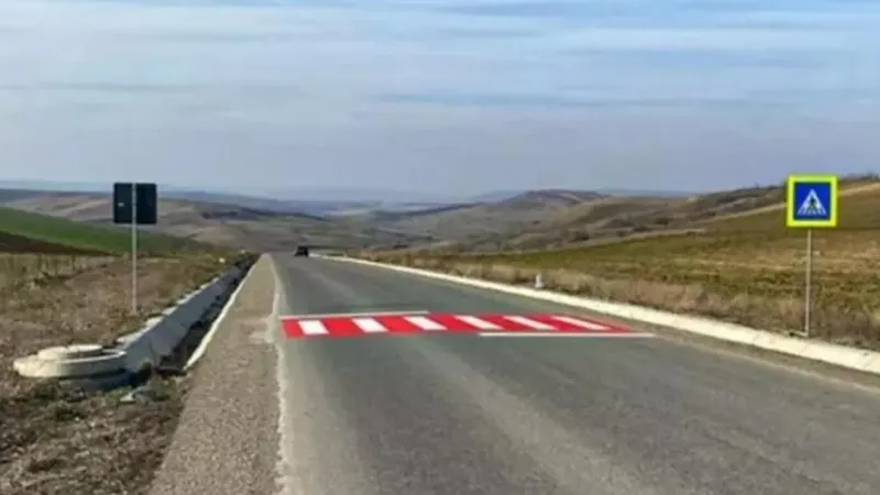 Drumarii din județul Iași au pictat o trecere pietoni în câmp, pe DJ282a, între localitățile Iepureni și Larga Jijia. - Foto: bzi.ro