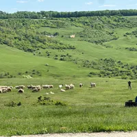 Povestea bătrânului care de 75 de ani și-a petrecut fiecare zi pe câmp cu oile. Ce viață a avut? - Foto: Newsweek
