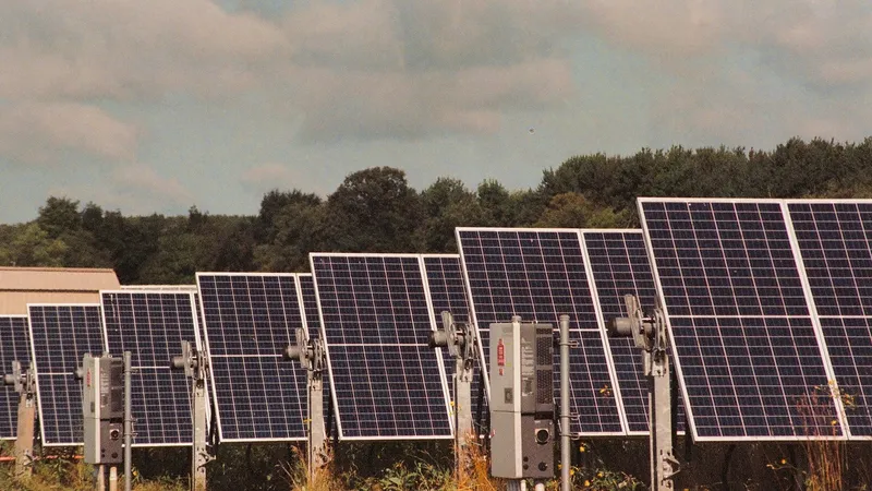 Schimbări majore la panourile fotovoltaice - Foto: Pexels (cu rol ilustrativ)