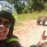 Turistul ucis de o ursoaică postase, cu o zi înaintea atacului, poze cu urşi pe marginea drumului - Foto: News.ro