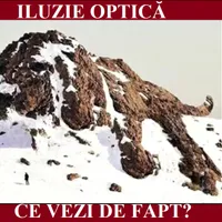Iluzie optică Foto: Newsweek