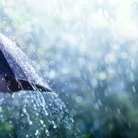 umbrelă în ploaie Foto: Shutterstock (rol ilustrativ)