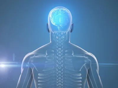 Creier uman - Foto: Profimedia images