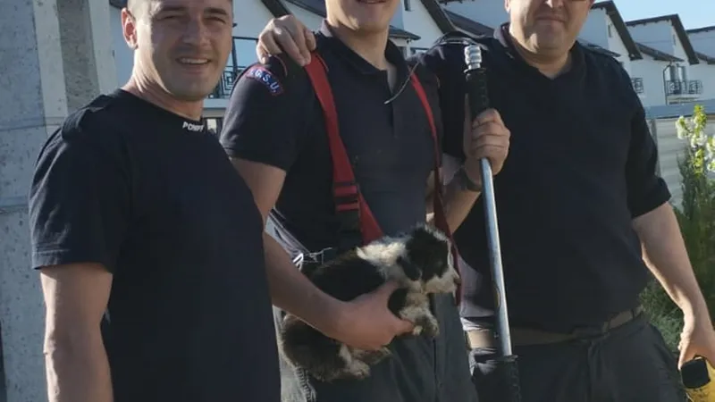 Cățelușul Bruno a fost salvat de pompieri după ce a căzut într-o fosă septică. A fost adoptat Foto: Facebook/ISU Suceava