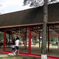 Războiul de zece ani din Pădurea Bârnova, arbitrat de Înalta Curte. Miza: cabana UTC/FOTO: ziaruldeiasi.ro
