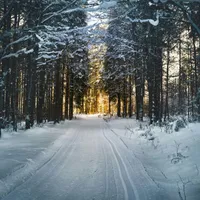 METEO Ninge în martie, anunţă un serviciu meteo american. Nopţile vor ajunge în pragul îngheţului - Foto: Pexels/Simon Berger