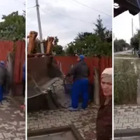 Angajații Primăriei au smuls banca de la poarta familiei/ FOTO: Digi 24
