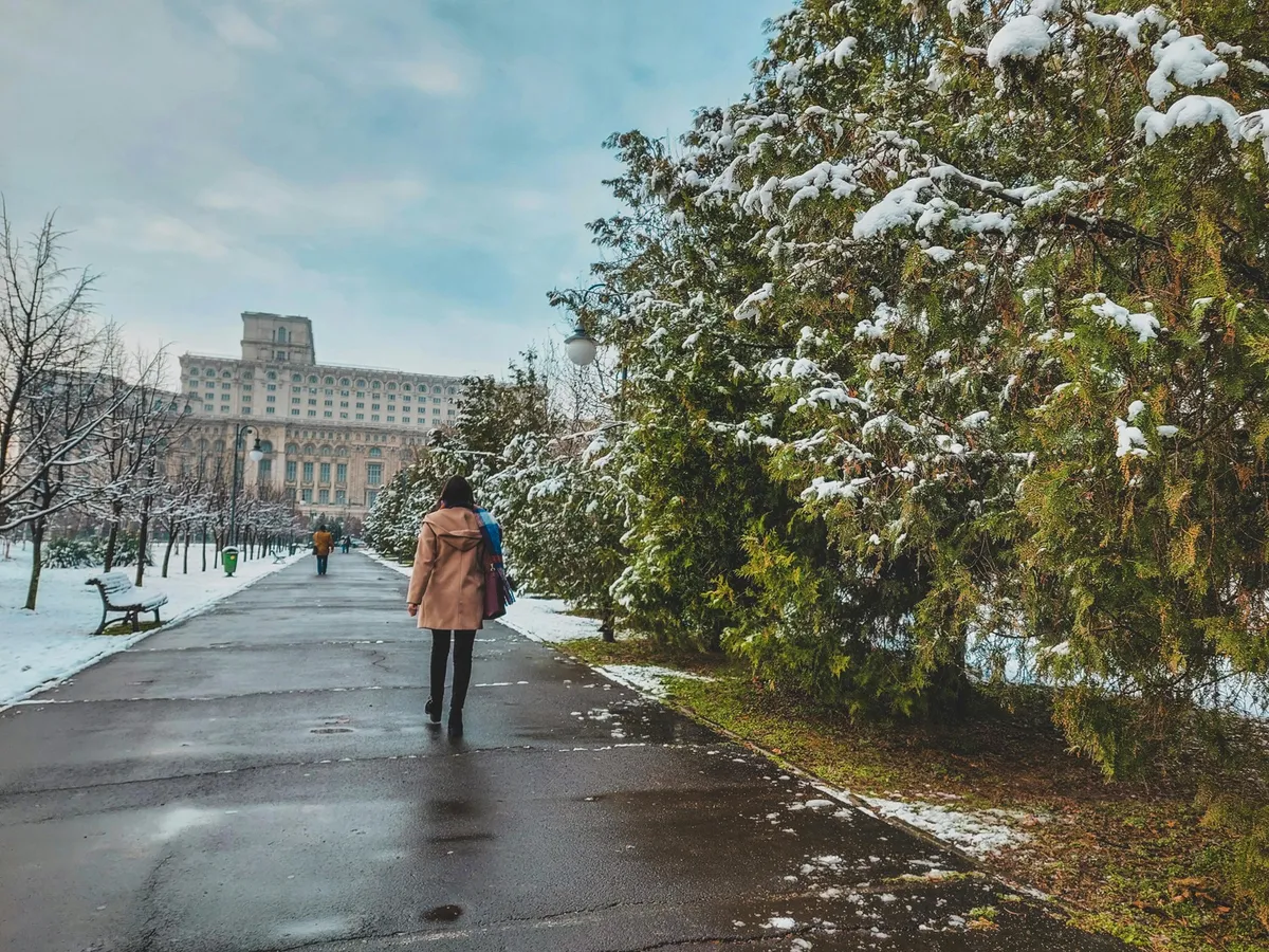 METEO de Florii, avertizare ANM de ultimă oră: condiții de iarnă – polei, vânt și îngheț la sol - FOTO: Pexels (imagine cu rol ilustrativ)