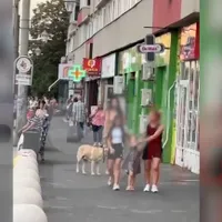 Caniculă? O tânără și-a scos câinele la plimbare prin București doar în pantofi, goală pușcă - Foto: captură video Spynews.ro